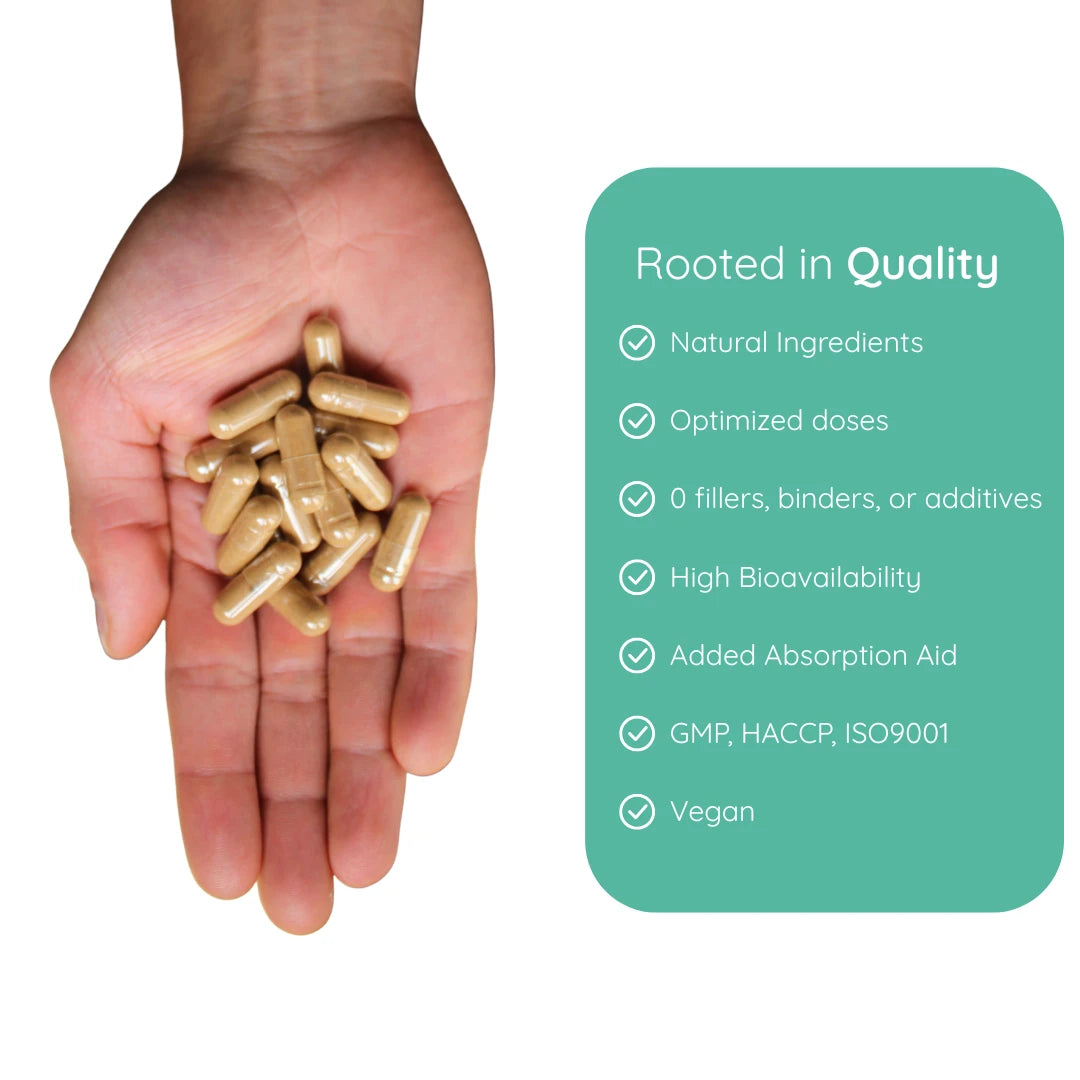Brain Focus Supplements | Mental Clarity Supplements | PUREFORMANCE