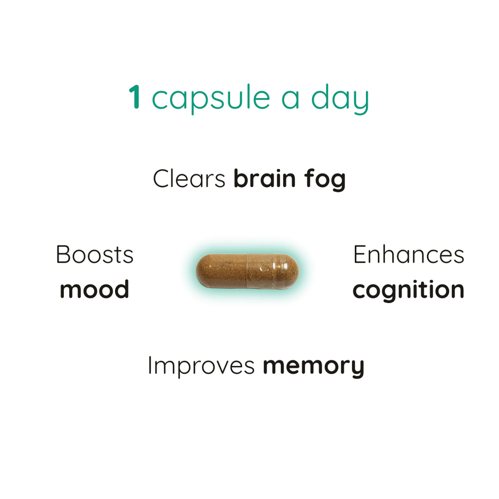 Brain Focus Supplements | Mental Clarity Supplements | PUREFORMANCE