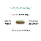 Brain Focus Supplements | Mental Clarity Supplements | PUREFORMANCE