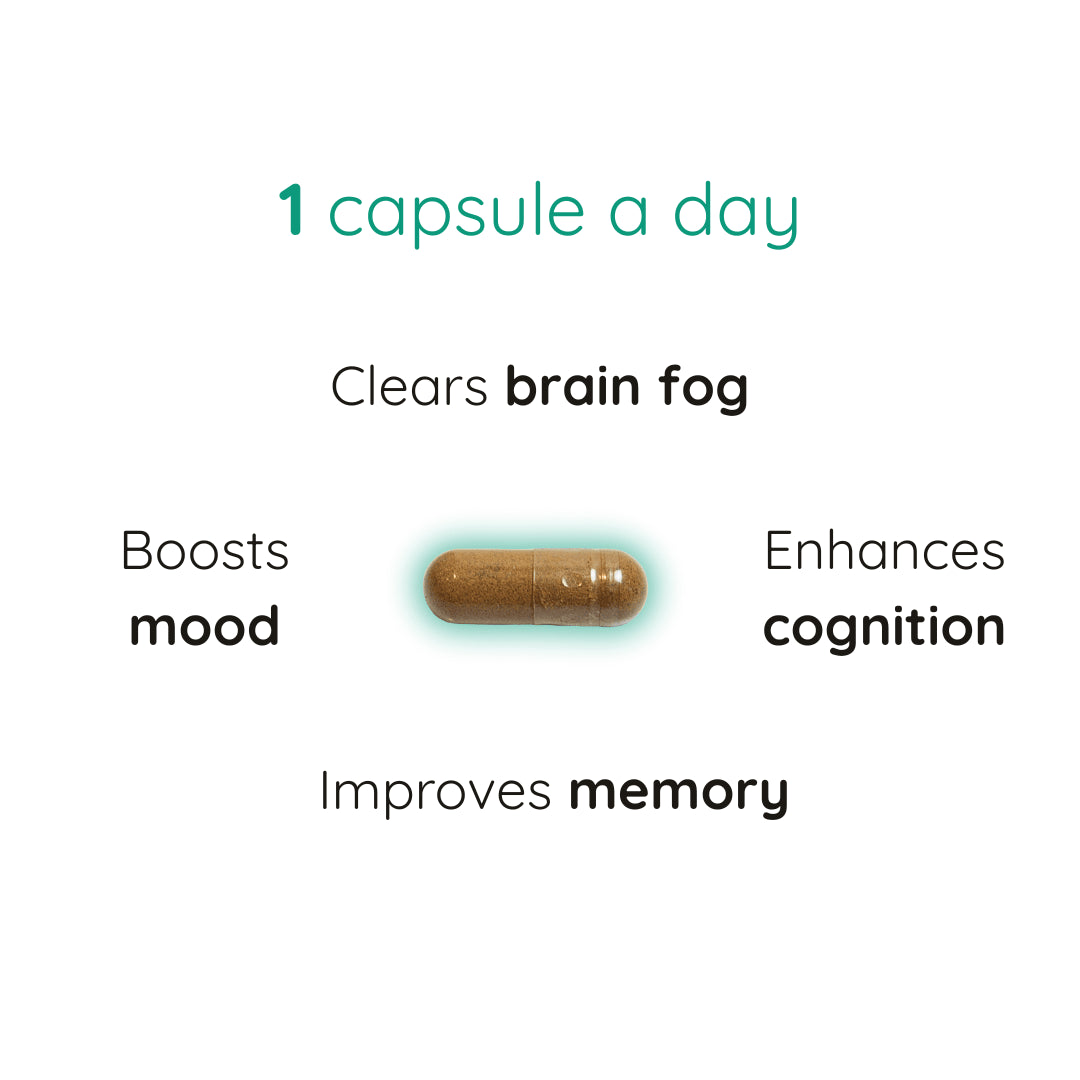 Brain Focus Supplements | Mental Clarity Supplements | PUREFORMANCE