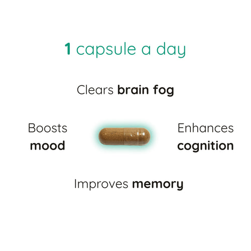 Brain FocusPure Focus Brain Supplement for Focus Capsules and BenefitsSupplements | Mental Clarity Supplements | PUREFORMANCE