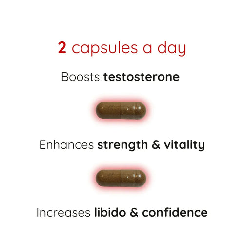 Pure Test+ Natural Testosterone Booster capsules and benefits