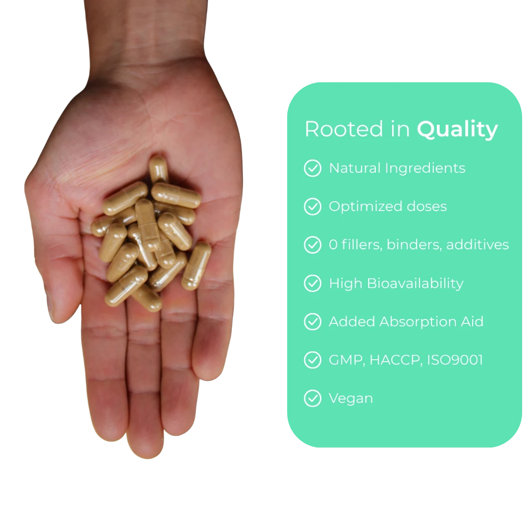 PURE FOUNDATIONS® Health and Wellness Supplements Bundle