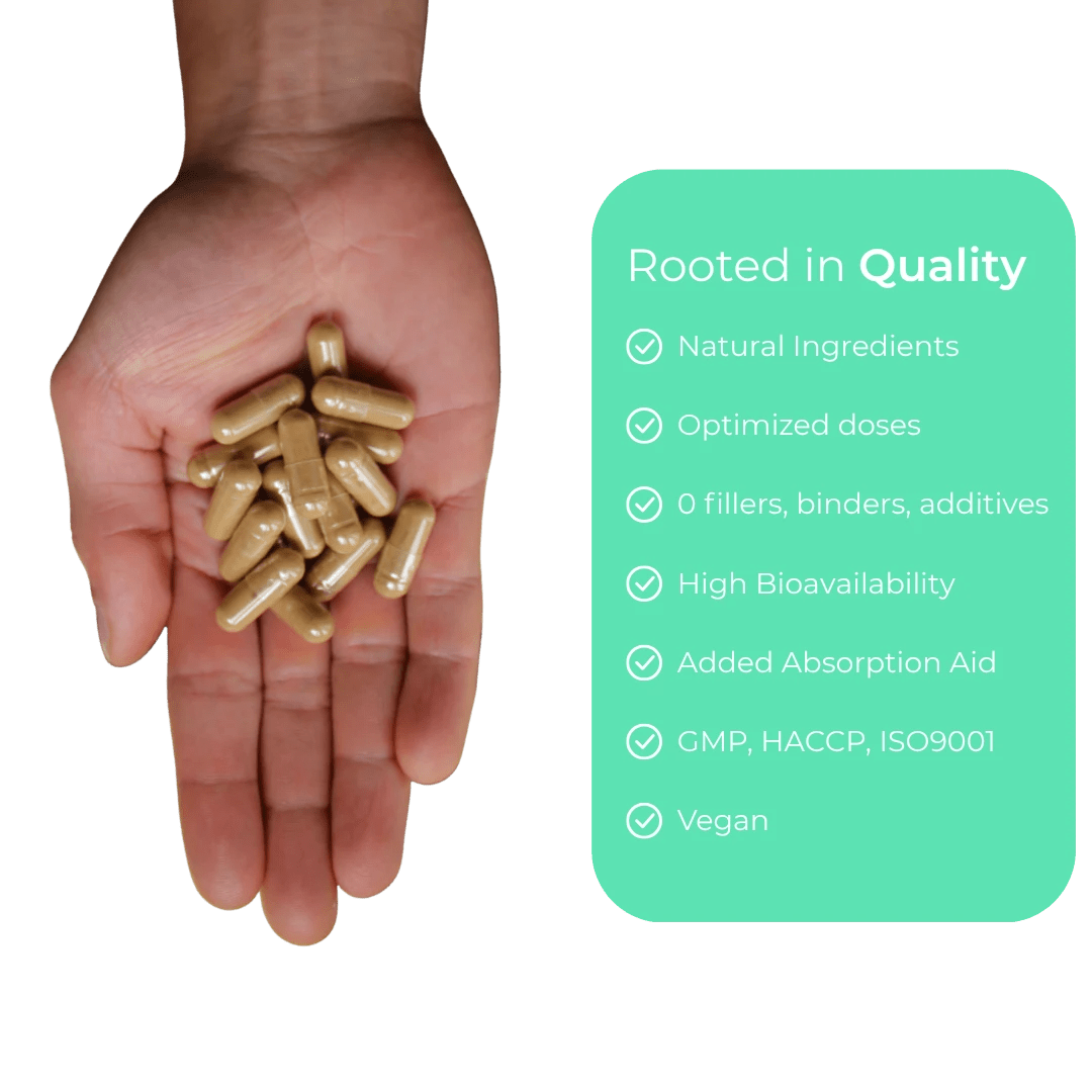 PURE FOUNDATIONS® Health and Wellness Supplements Bundle - PUREFORMANCE