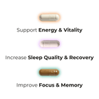 PURE FOUNDATIONS® Health and Wellness Supplements Bundle - PUREFORMANCE