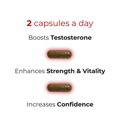 PURE TEST+® Natural Testosterone Booster for Enhanced Strength and Vitality - PUREFORMANCE